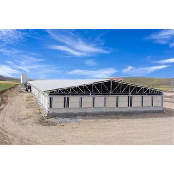 Steel Structure Poultry House